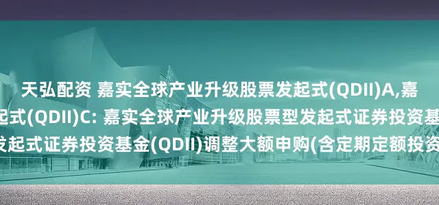 天弘配资 嘉实全球产业升级股票发起式(QDII)A,嘉实全球产业升级股票发起式(QDII)C: 嘉实全球产业升级股票型发起式证券投资基金(QDII)调整大额申购(含定期定额投资)业务的公告