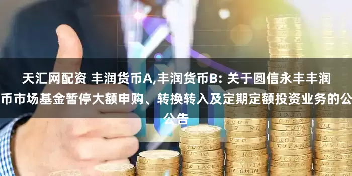 天汇网配资 丰润货币A,丰润货币B: 关于圆信永丰丰润货币市场基金暂停大额申购、转换转入及定期定额投资业务的公告